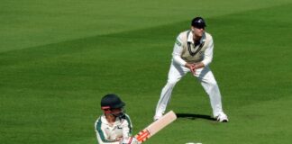 Cricket Playing