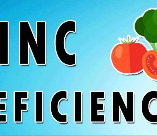 Zinc Deficiency