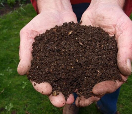 Compost at Home